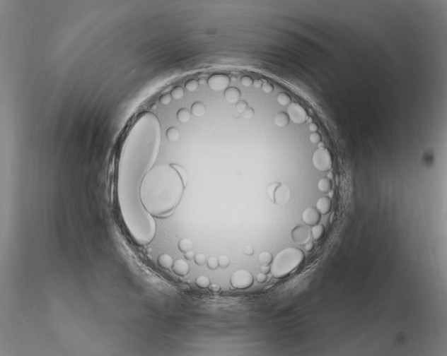 X0000115221126200912091214