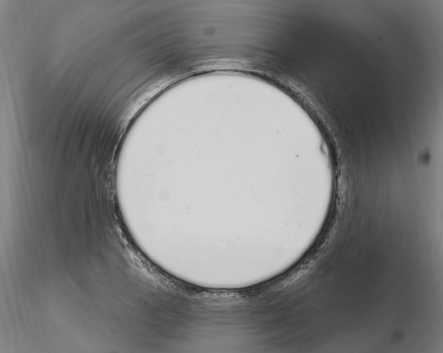 X0000115221129200912091214