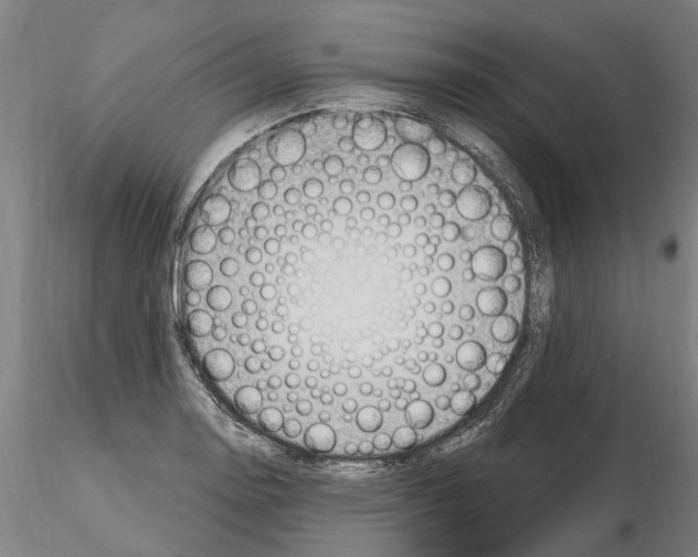 X0000115221130200912091214
