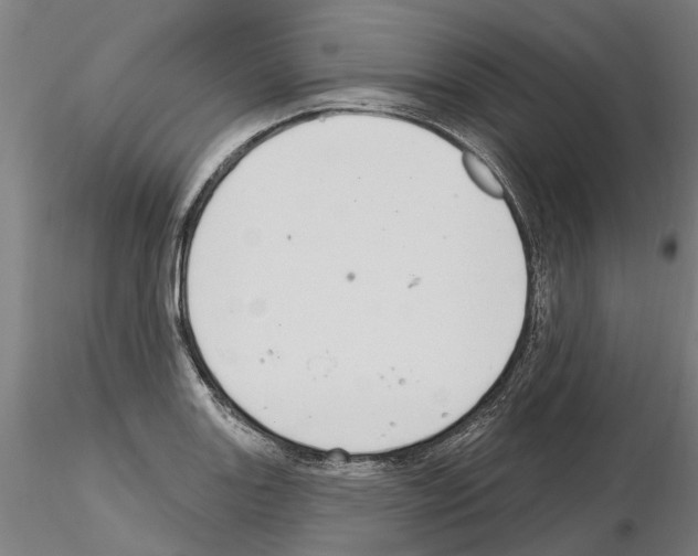 X0000115221131200912091214