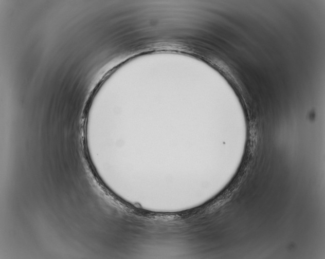 X0000115221133200912091215