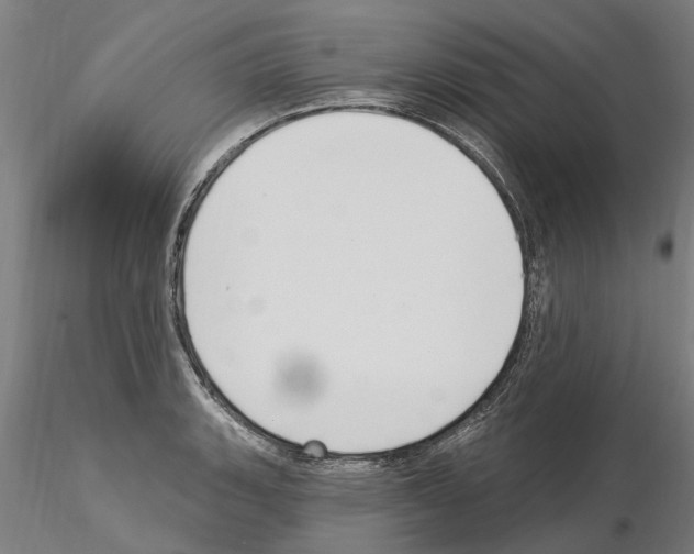 X0000115221135200912091215