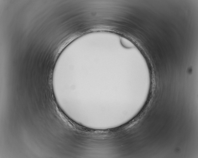 X0000115221137200912091215