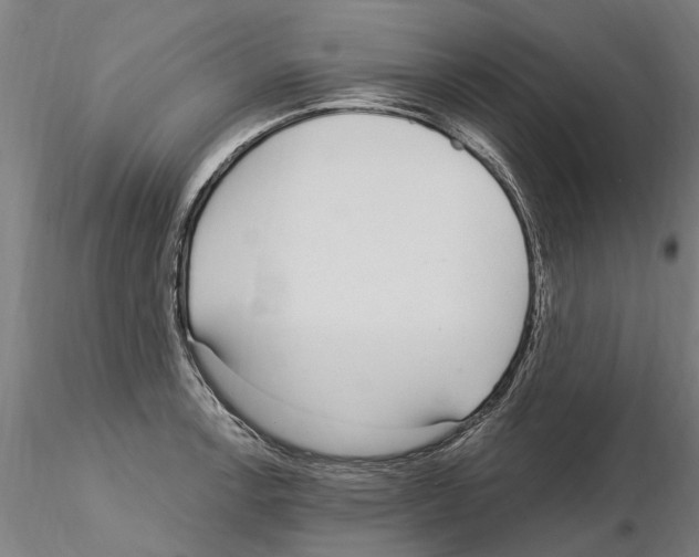 X0000115221138200912091215