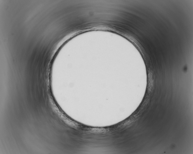 X0000115221142200912091215
