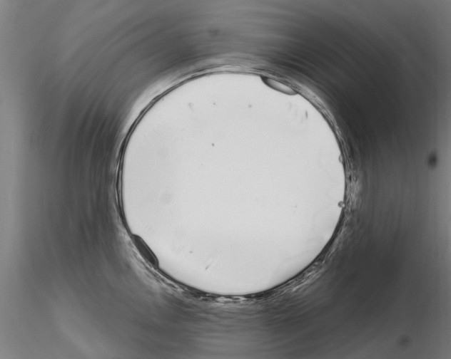 X0000115221146200912091215