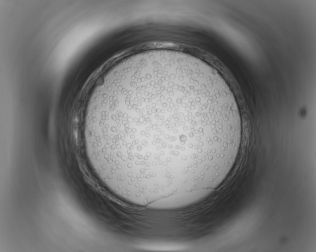 X0000115221151200912091215