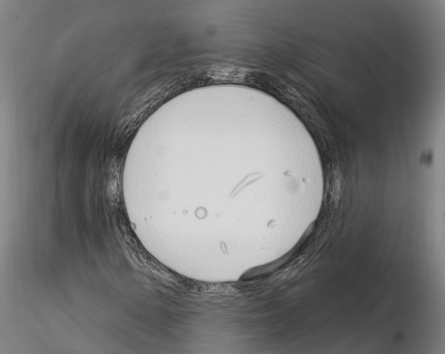 X0000115221154200912091214