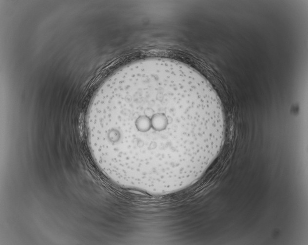 X0000115221156200912091214