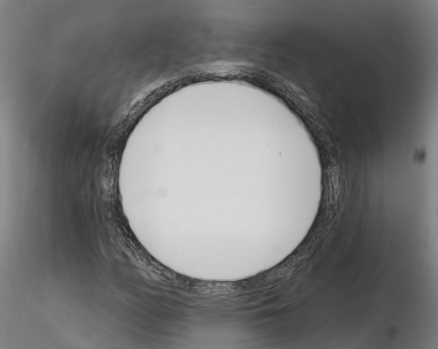 X0000115221158200912091214
