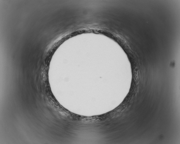 X0000115221159200912091214