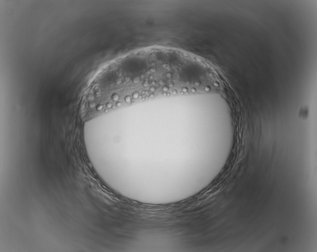 X0000115221160200912091214