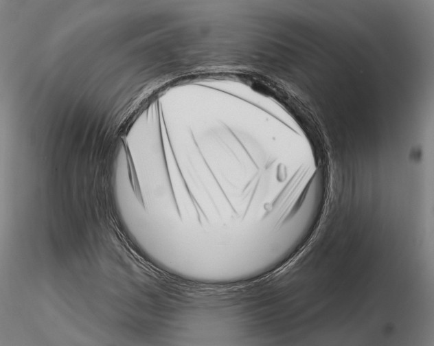 X0000115221161200912091214