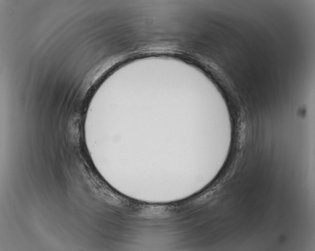 X0000115221162200912091214