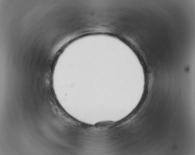 X0000115221163200912091214