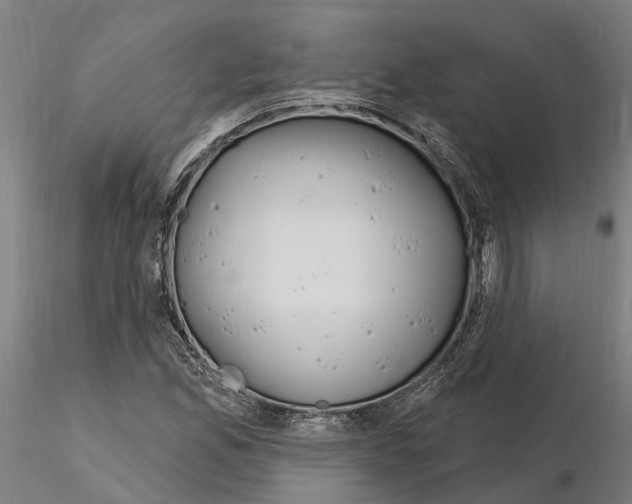 X0000115221165200912091214