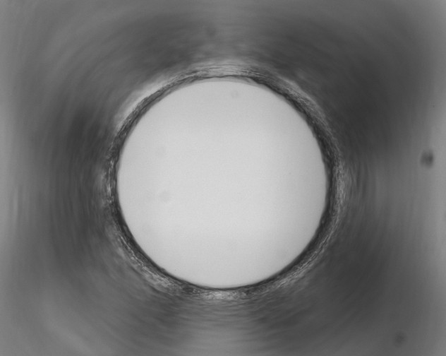 X0000115221166200912091214