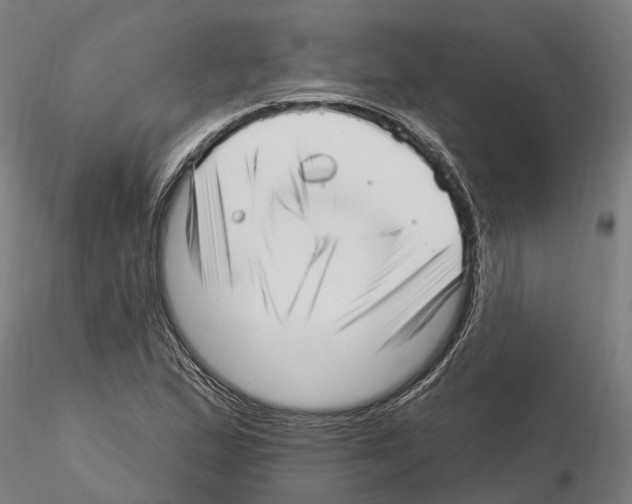 X0000115221167200912091214
