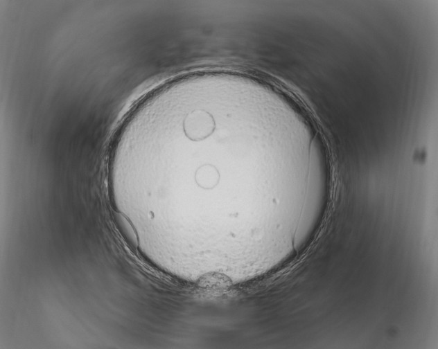 X0000115221168200912091214