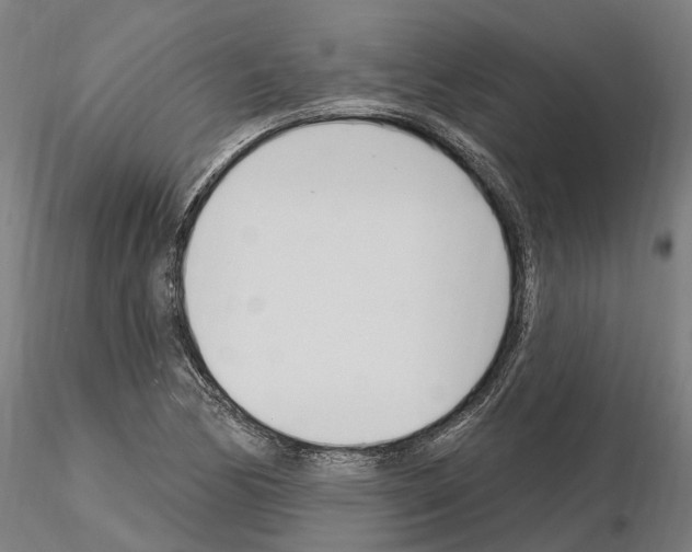 X0000115221170200912091214