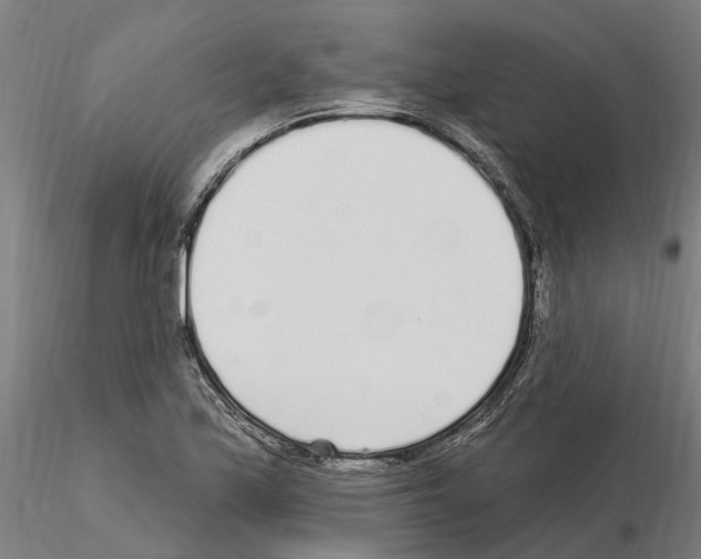 X0000115221171200912091214