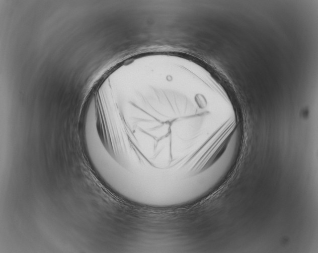 X0000115221173200912091214