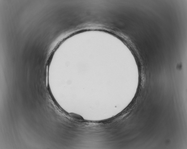 X0000115221175200912091214