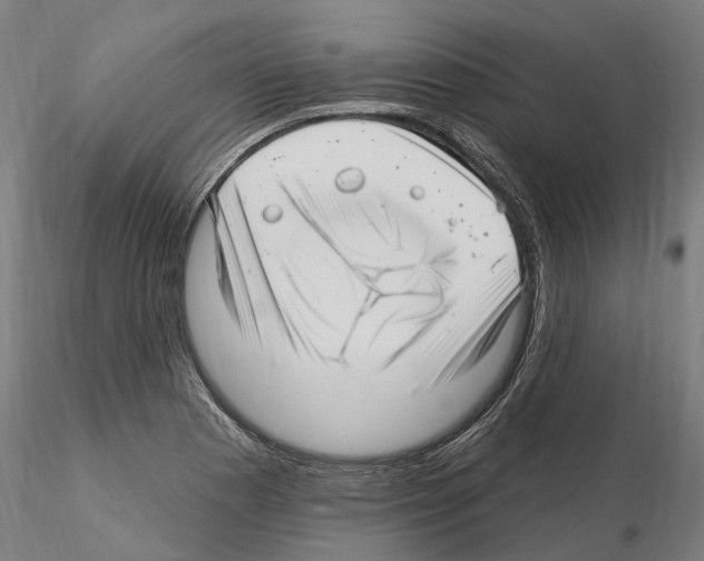 X0000115221177200912091214