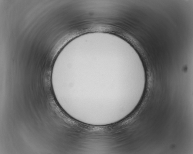 X0000115221178200912091214