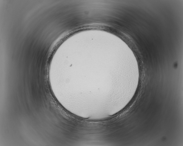 X0000115221180200912091214