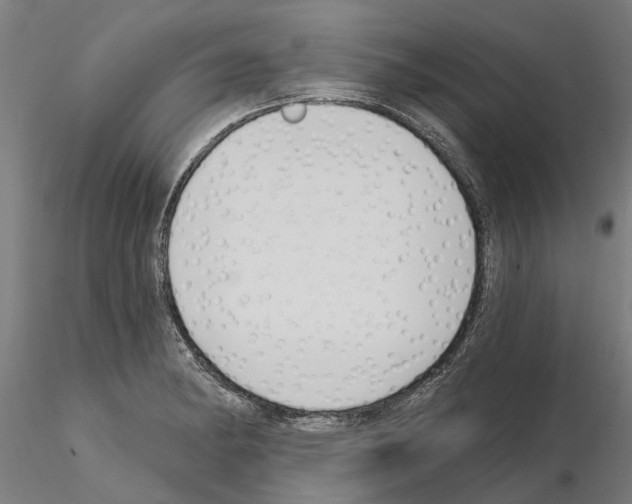 X0000115221182200912091214