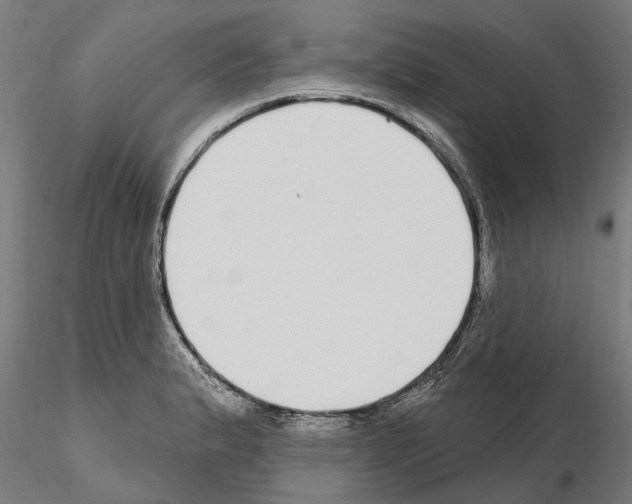 X0000115221183200912091214