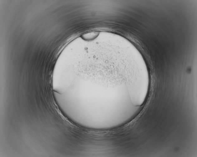 X0000115221185200912091214