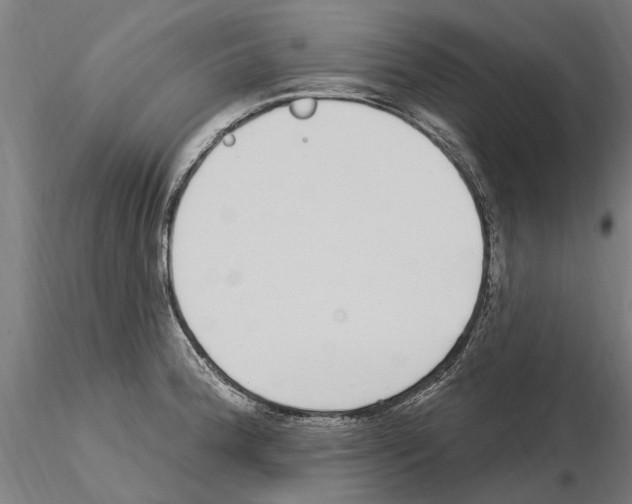 X0000115221188200912091214