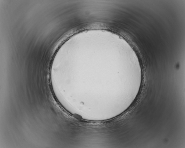 X0000115221189200912091214