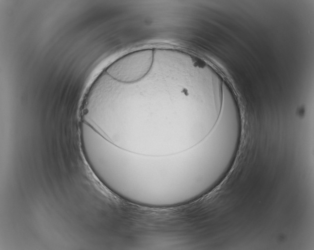 X0000115221192200912091214