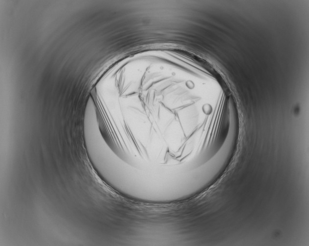 X0000115221193200912091214