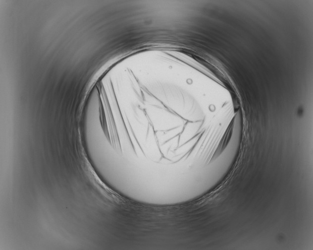 X0000115221195200912091214