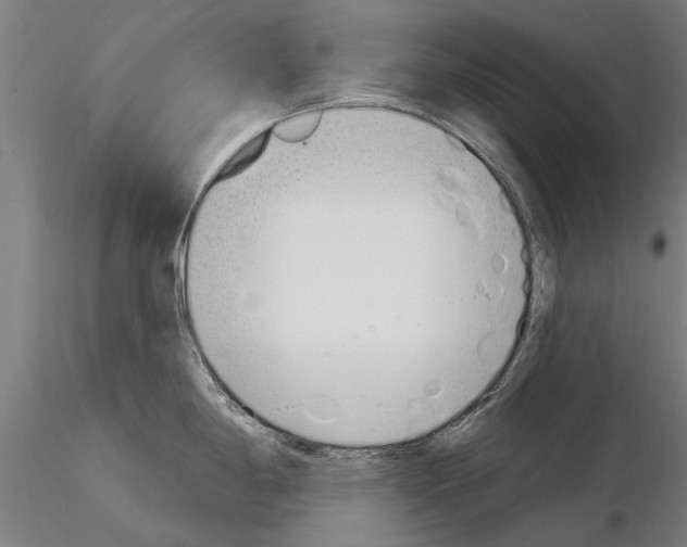 X0000115221198200912091214