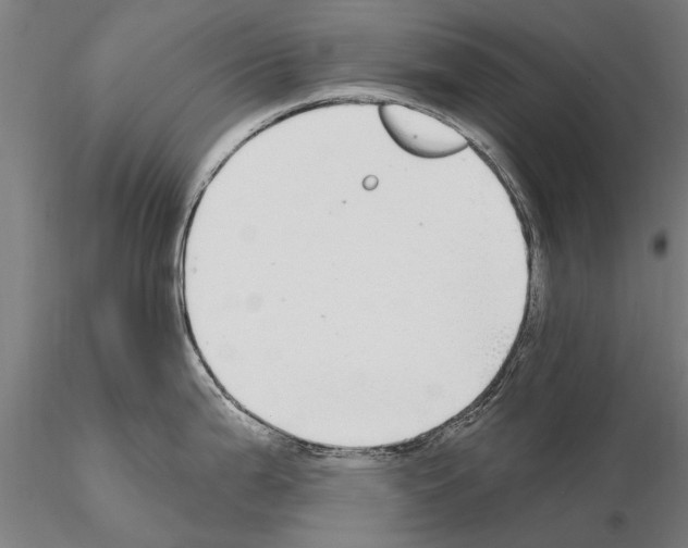 X0000115221199200912091213