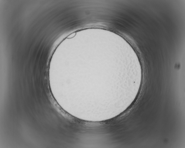 X0000115221200200912091213