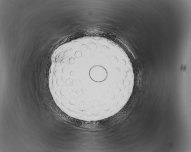 X0000115221201200912091213