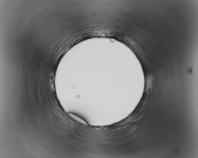 X0000115221202200912091213