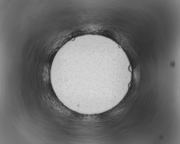 X0000115221203200912091213