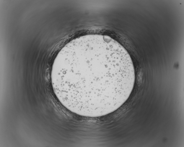 X0000115221204200912091213