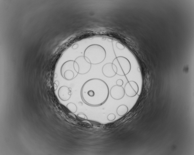 X0000115221205200912091213