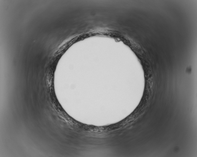 X0000115221206200912091213