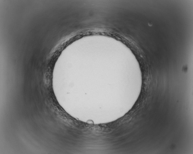 X0000115221207200912091213