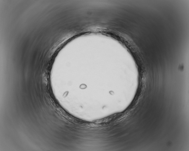 X0000115221209200912091213