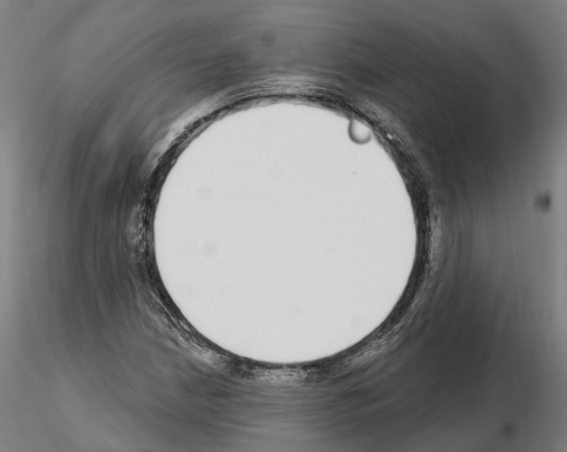 X0000115221210200912091213